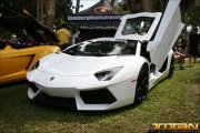 Sarasota-Exotics-0004