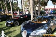 Sarasota-Exotics-0006