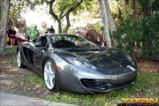 Sarasota-Exotics-0009