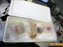 Next Day Air - In-N-Out Burger