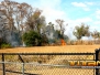 Fire!!!!